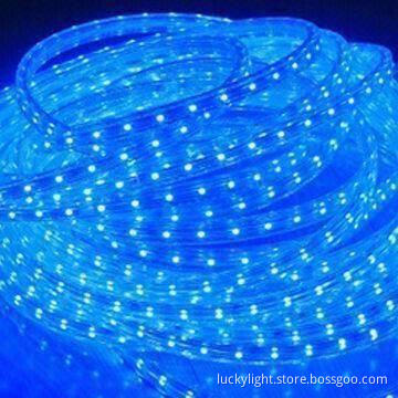 Blue LED Strip Lights with 3528 SMD LEDs, 12V DC Voltage, 5m/Roll
